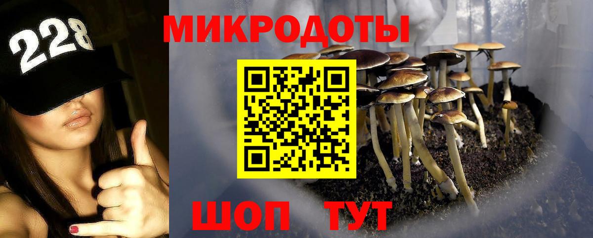 Галлюциногенные грибы прущие грибы Павловский Посад